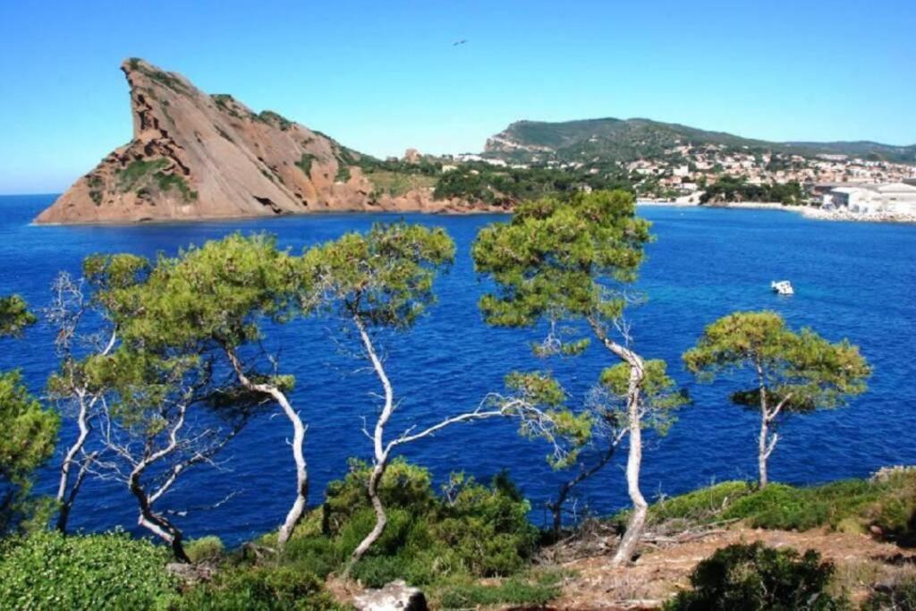 L'Oree De La Plage: Appt. Tout Confort 4/6 Pers. 400 M De La Plage Ла Сиота Екстериор снимка